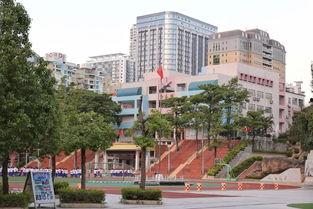 厦门中学吃瓜,揭秘背后的校园生活点滴