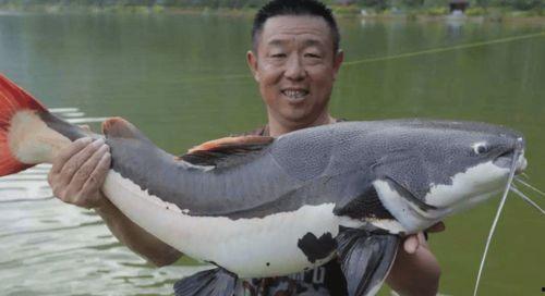 钓鱼圈吃瓜,揭秘吃瓜背后的真相与笑料